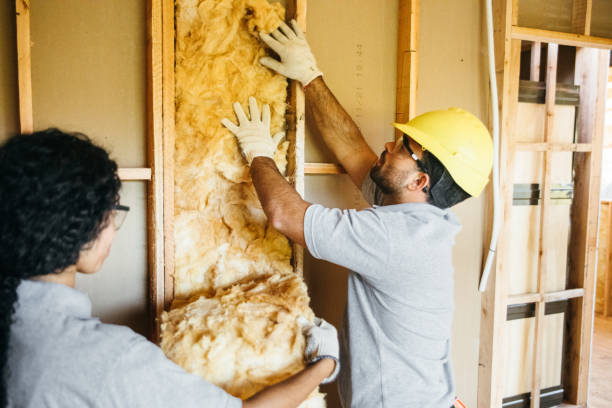 Best Eco-Friendly or Green Insulation Solutions  in Oglesby, IL